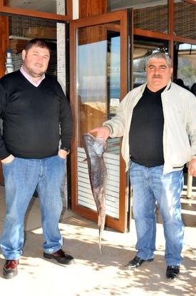 Yalovalı Balıkçılar Tarafından Marmara Denizi'nde 11.5 Kilogramlık Minekop Balığı Yakalandı.