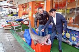 Tekirdağ'ın Marmara Ereğlisi İlçesinden Denizine Açılan Balıkçılar, 2 Metre Uzunluğunda Ve 180 Kilo Ağırlığında Bir Köpek Balığı Yakaladı.