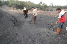 Pikniklerin Vazgeçilmezi Mangal Kömürü Mangalları Isıntıncaya Kadar Bir Çok Aşamalardan Geçiyor.