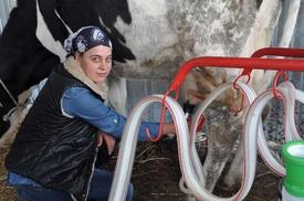 Edremit İlçesinde 110 Dönüm Yere Çiftlik Kuran Ve Büyükbaş Hayvancılığa Başlayan Genç Bayan, 24 Saat Süt Hizmet Vermeye Başladı.