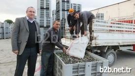 Türkiye’nin En Önemli Zeytin Üretim Merkezlerinden Balıkesir’in Burhaniye İlçesinde, Tariş Zeytinyağı Birliğinin Dizyemlik Zeytinyağlarına 9 Lira Fiyat Açıklaması Üreticiyi Sevindirdi.