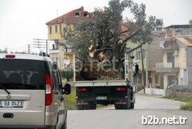 İzmir’de Gaziemir Belediyesi Tarafından Dört Yıldır Uygulanan Proje İle Ağaçlar Sobalara Gönderilmiyor.