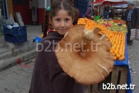 Çanakkale'nin Lapseki İlçesinde Halk Pazarında Satılan Dev Mantarı Görenler Gözlerine İnanamadı. Yaklaşık 1 Kilo Ağırlığındaki Pırnal Mantarı, İlgi Odağı Oldu.