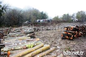 Zonguldak-amasra Arasında 54 Kilometrelik Hat Üzerinde Kurulması Planlanan Enerji Nakil Hattı İçin Ağaç Kesimi Yapılan Bartın'ın Saraylı Köyünde, Bartın Platformu Birleşenleri, Çevreciler Ve Köylüler Eylem Yaptı.