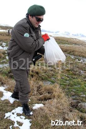 Ardahan’da Hava Sıcaklıklarının Düşmesi Ve Kar Yağışı Sebebiyle Yem Bulmakta Güçlük Çeken Yaban Hayvanları İçin Doğaya Yem Bırakıldı. Orman Ve Su İşleri Şube Müdürlüğü Ekipleri, Getirdikleri Buğday Ve Etleri 5 Ayrı Alana Bıraktı.