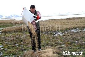 Ardahan’da Hava Sıcaklıklarının Düşmesi Ve Kar Yağışı Sebebiyle Yem Bulmakta Güçlük Çeken Yaban Hayvanları İçin Doğaya Yem Bırakıldı. Orman Ve Su İşleri Şube Müdürlüğü Ekipleri, Getirdikleri Buğday Ve Etleri 5 Ayrı Alana Bıraktı.