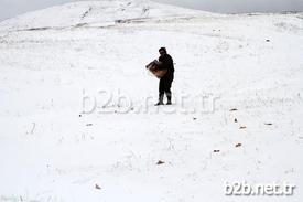 Ardahan’da Hava Sıcaklıklarının Düşmesi Ve Kar Yağışı Sebebiyle Yem Bulmakta Güçlük Çeken Yaban Hayvanları İçin Doğaya Yem Bırakıldı. Orman Ve Su İşleri Şube Müdürlüğü Ekipleri, Getirdikleri Buğday Ve Etleri 5 Ayrı Alana Bıraktı.