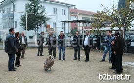 Mersin’in Mut İlçesinde Vatandaşların Yaralı Olarak Bulduğu Ak Pelikan (pelecanus Onocrotalus), Doğa Koruma Ve Milli Parklar Mersin Şube Müdürlüğü Mut Şefliği Tarafından Veteriner Hekime Yaptırılan Tedavisinin Ardından Doğal Yaşam Ortamına Bırakıldı.