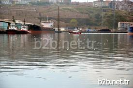 Bandırma Limanı’nda Çöplerin Yüzdüğünü Gören Olta Balıkçıları, Duruma Tepki Gösterdi.