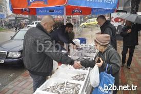 Zonguldak’ta Kilosu 2,5 Tl’den Satılan Hamsiye Vatandaşlar Büyük İlgi Gösterdi.