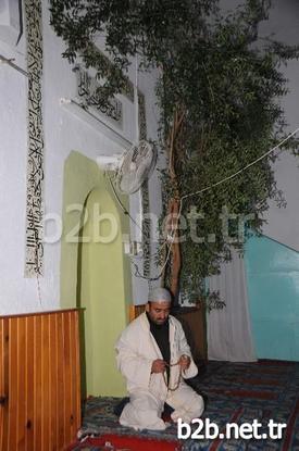 Burdur’un Bucak İlçesine Bağlı Kızıllı Köyündeki Caminin İçinde Namaz, Zeytin Ağacının Gölgesinde Kılınıyor. 1980 Yılında Caminin Yapımı Sırasında İnşaat Alanında Bulunan Zeytin Ağaçlarını Kesmeye Kıyamayan Köylüler Bugün Gözleri Gibi Baktıkları Ağacın Gölgesinde İbadetlerini Gerçekleştirip, Dualarını Yapıyorlar.