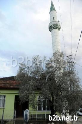 Türkiye'de Son Zamanlarda Kesimiyle Dikkat Çeken Zeytin Ağacı, Burdur'un Bucak İlçesinde Baştacı Yapıldı. Öyle Ki Köylüler Cami İnşaatı İçin Ayrılan Alana Yapacakları İnşaatta İnşaat İçinde Kalan Zeytin Ağacı İçin Özel Bir Yer Ayırdılar. Çevresi De Zeytin Ağaçlarıyla Kaplı Olan Cami İnşaatının İçinde Kalan Bir Zeytin Ağacı Da Köylü Tarafından Özel Korumaya Alındı.
