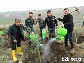 Orman Ve Su İşleri Bakanlığı İle Türk Kızılayı İşbirliğinde Yürütülen ‘bir Kan Bir Fidan’ Projesi Kapsamında Nurdağı’na Bağlı Atmalı Köyüne Fidan Dikimi Yapıldı.