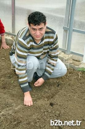 Manisa Özel Eğitim İş Uygulama Merkezindeki Serada, Zihinsel Engelli Öğrenciler Tarafından Çeşitli Sebze Ve Çiçekler Yetiştiriliyor. Dikiminden Bakımına, Sulamasından Sökümüne Kadar Her Kademede Zihinsel Engelli Öğrencilerin Emeği Ve Sevgisi Bulunuyor. Bitkilerden Elde Edilen Gelirle Öğrencilerin İhtiyaçları Karşılanıyor.