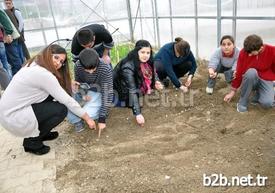 Manisa Özel Eğitim İş Uygulama Merkezindeki Serada, Zihinsel Engelli Öğrenciler Tarafından Çeşitli Sebze Ve Çiçekler Yetiştiriliyor. Dikiminden Bakımına, Sulamasından Sökümüne Kadar Her Kademede Zihinsel Engelli Öğrencilerin Emeği Ve Sevgisi Bulunuyor. Bitkilerden Elde Edilen Gelirle Öğrencilerin İhtiyaçları Karşılanıyor.