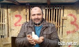 Uzun Zamandır Tavuk Beslediğini Belirten Pir Gayip Demirci, “daha Önce Hiç Böyle Bir Şeyle Karşılaşmadım. Civcivin Kuyruk Kısmında Çıkan Üçüncü Ayağı Çekmeye Çalıştık Çıkmadı. Kan Kaybeder Ölür Diye Üçüncü Ayağı Kesmedim De. Şimdi Bu Şekilde Yaşıyor. Sağlık Durumu Da İyi. Artık Bu Şekilde Büyüyecek” Dedi.