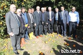 Ziraat Odaları Genel Başkanı Şemsi Bayraktar, Sel, Don Ve Fırtınadan Zarar Gören Antalya’nın Kumluca Finike Ve Demre İlçelerinde İncelemelerde Bulundu.