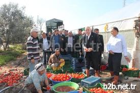 Ziraat Odaları Genel Başkanı Şemsi Bayraktar, Sel, Don Ve Fırtınadan Zarar Gören Antalya’nın Kumluca Finike Ve Demre İlçelerinde İncelemelerde Bulundu.
