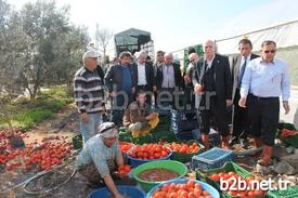 Ziraat Odaları Genel Başkanı Şemsi Bayraktar, Sel, Don Ve Fırtınadan Zarar Gören Antalya’nın Kumluca Finike Ve Demre İlçelerinde İncelemelerde Bulundu.