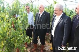 Ziraat Odaları Genel Başkanı Şemsi Bayraktar, Sel, Don Ve Fırtınadan Zarar Gören Antalya’nın Kumluca Finike Ve Demre İlçelerinde İncelemelerde Bulundu.