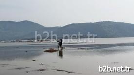 Aydın-muğla İl Sınırındaki Bafa Gölü’nde Nesli Tükenmek Üzere Olduğu İçin Koruma Altına Alınan Pelikanlar Biri Kaçak Avlanmaya Çalışan Kişi Ya Da Kişiler Tarafından Vuruldu.