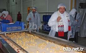 Kuveyt EvkÂf Bakan Vekili Dr. Adil El Fellah, Kardelen Kestane Şekeri Üretim Tesislerini Ziyaret Etti. Dr. El Fellah, İnceleme Sonrasında Yaptığı Açıklamada Tesisi Çok Beğendiğini Söyledi.