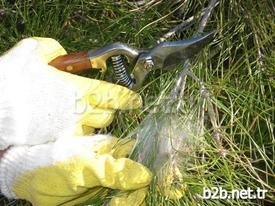 Adana Orman Bölge Müdürlüğü, Geçmiş Yıllarda Olduğu Gibi 2014 Yılında Da Ormanları Tahrip Eden Her Tür Zararlıyla Etkin Mücadeleye Devam Etti.