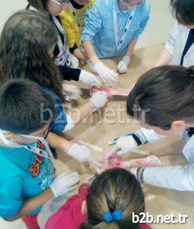 Bursa Bilim Ve Teknoloji Merkezi’nin Sömestr Tatili İçin Planladığı Bilim Atölyeleri Renkli Görüntülere Sahne Oluyor