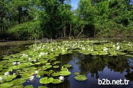 Karacabey Longoz Ormanları’nın Yapılan Belgeseli İle Gündeme Gelmesinin Ardından Karacabey Belediyesi Turizm Atağına Geçti. Başkan Ali Özkan, Yoğunluğun Sağlanması Halinde İstanbul-karacabey, Mudanya-karacabey Budo Seferlerinin Başlayacağı Müjdesini Verdi.