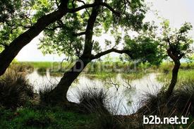 Karacabey Longoz Ormanları’nın Yapılan Belgeseli İle Gündeme Gelmesinin Ardından Karacabey Belediyesi Turizm Atağına Geçti. Başkan Ali Özkan, Yoğunluğun Sağlanması Halinde İstanbul-karacabey, Mudanya-karacabey Budo Seferlerinin Başlayacağı Müjdesini Verdi.