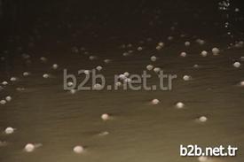 Adana'da Seyhan Baraj Gölü Çekilince, Binlerce Balık Yumurtlamak İçin Girdikleri Kanalda Mahsur Kaldı. Balıklar, Çamurlu Suda Hep Bir Anda Ağızlarını Açıp Kapayarak Çıkardıkları Ses Sayesinde Vatandaşların Dikkatini Çekince Kurtarıldı.