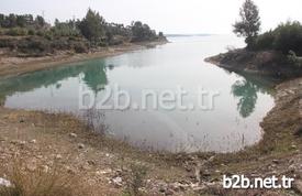 Adana'da Seyhan Baraj Gölü Çekilince, Binlerce Balık Yumurtlamak İçin Girdikleri Kanalda Mahsur Kaldı. Balıklar, Çamurlu Suda Hep Bir Anda Ağızlarını Açıp Kapayarak Çıkardıkları Ses Sayesinde Vatandaşların Dikkatini Çekince Kurtarıldı.
