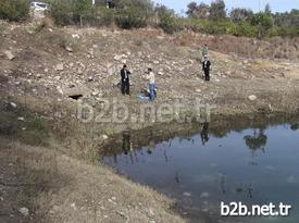 Balıkların Çıkardıkları Sesi Bir Vatandaşın Duyarak Belediyeye Haber Vermesi Üzerine Görevliler Akşama Kadar Binlerce Balığı Kurtararak Göle Saldı.