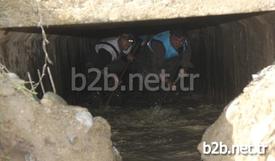 Balıkların Çıkardıkları Sesi Bir Vatandaşın Duyarak Belediyeye Haber Vermesi Üzerine Görevliler Akşama Kadar Binlerce Balığı Kurtararak Göle Saldı.