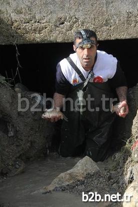 Balıkların Çıkardıkları Sesi Bir Vatandaşın Duyarak Belediyeye Haber Vermesi Üzerine Görevliler Akşama Kadar Binlerce Balığı Kurtararak Göle Saldı.