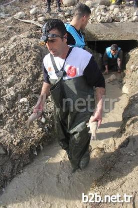 Balıkların Çıkardıkları Sesi Bir Vatandaşın Duyarak Belediyeye Haber Vermesi Üzerine Görevliler Akşama Kadar Binlerce Balığı Kurtararak Göle Saldı.