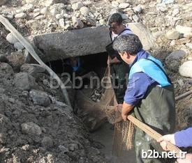Balıkların Çıkardıkları Sesi Bir Vatandaşın Duyarak Belediyeye Haber Vermesi Üzerine Görevliler Akşama Kadar Binlerce Balığı Kurtararak Göle Saldı.