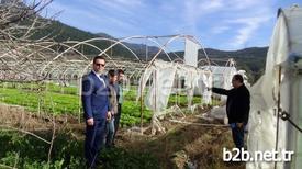 Bursa’da Etkili Olan Lodos 300 Dönümlük Tarım Arazilerinde Bulunan Seraları Da Vurdu. Yaklaşık 1 Milyon Lira Zarara Uğrayan Çiftçiler, Devletten Destek Bekliyor.