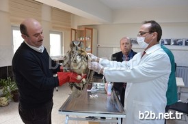 Malatya’nın Yeşilyurt İlçesinde Vatandaşlar Tarafından Bir Kanadı Kırık Olarak Yaralı Halde Bulunan Baykuş, Yeşilyurt Belediyesi Veteriner İşleri Müdürlüğü Ekipleri Tarafından Tedavi Edildi.