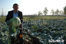 Yenişehir Ziraat Odası Başkanı Sadi Aktaş, Çiftçinin Sözleşmeli Tarıma Yönelmesi Gerektiğini Söyledi.