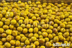 Ege İhracatçılar Birliği Rakamlarına Göre 2 Milyon 648 Bin 310 Kilogram Yeşil Zeytin 36 Ülkeye İhraç Edildi. Geçen Yıl Bu Rakam 2 Milyon 976 Bin 44 Kilogram Olarak Gerçekleşmişti. Bu Yıl Yeşil Zeytin İhracatının Düştüğü Gözlendi.