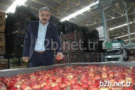 Karaman Ziraat Odası Yönetim Kurulu Başkanı Recep Muğlu, Elma Üreticisine 5 Yıldır Verilmeyen İhracat Teşvikinin Bu Yılda Umutsuz Göründüğünü Söyledi.