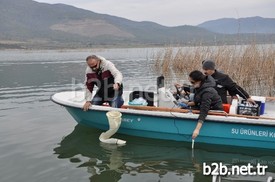 Marmara Gölü, Ekosisteme Kazandırılacak. Manisa Gıda Tarım Ve Hayvancılık İl Müdürlüğü İle Celal Bayar Üniversitesi Fen Edebiyat Fakültesi Biyoloji Bölümü Hidrobiyoloji Abd Ortaklığı İle Hazırlanan Yaşayan Bir Ekosistem Her Yönüyle Marmara Gölü Projesi Çalışmalarına Başlandı.