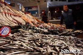 Havaların Isınmasıyla Birlikte Tavan Yapan Balık Fiyatları Yarı Yarıya Düştü.