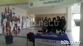 Eskişehir Osmangazi Üniversitesi (esogü) Kadın Araştırmaları Uygulama Ve Araştırma Merkezi (eskam) Bünyesinde Bulunan Ve Üniversite Öğrencilerinin Gönüllülük Esasıyla Etkinliklerini Gerçekleştiren Genç Eskam, Faaliyetlerini Sürdürüyor.