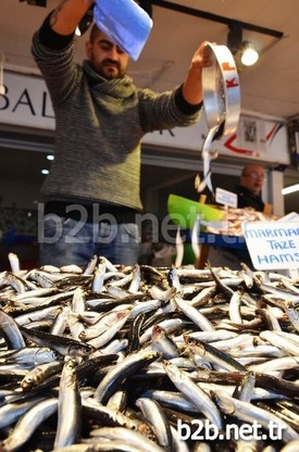 Hava Muhalefeti Nedeniyle Kilosu 20 Tl’nin Üzerine Çıkan Hamsi, Sezon Sonuna Yaklaşılırken, Yeniden 10 Tl Civarında Satılmaya Başlandı.