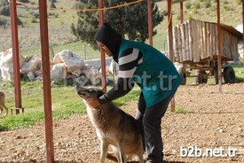 Orman Ve Su İşleri Bakanlığı Doğa Koruma Ve Milli Parklar 6. Bölge Müdürlüğü Yetkilileri İle Yaptıkları Gözlem Sonucu Kurtların, Yabanileşmeden Doğaya Salınmama Kararı Aldıklarını Dile Getiren Veteriner Hekim Öztürk Sarıca, Kurtlar Yabanileşmezse, Eğitim Çalışmalarında Kullanacaklarını, Kurtların İnsanlara Düşman Olmayan Bir Hayvan Olduğunu, Toplumun Görmesini Sağlayacaklarını Söyledi.