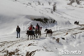 Van’ın Başkale İlçesinin Köprüağzı Mahallesinde Oturan 58 Öğrencinin Bazıları At Ve Eşek Sırtında, Bazıları Çamurlu Yolları Yaya Aşarak Okula Gidiyor.