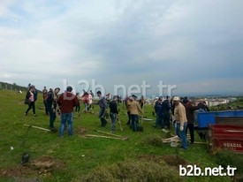 Mkü Stratejik Düşünce Topluluğu, Yaklaşmakta Olan Kutlu Doğum Haftası Hasebiyle Kampüs İçinde 571 Fidan Dikimi Gerçekleştirdi. Fidan Dikimine Akademisyenler Ve Öğrenciler Yoğun Katılım Gösterdi.