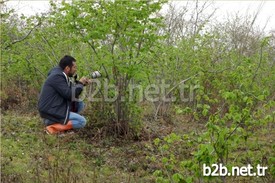 Biyolojik Çeşitliliğin Tanınması Ve Korunması Amacıyla Yaklaşık 2 Yıl Önce ‘ordu Üniversitesi Cumhuriyet Kampüsü Karasal Omurgalı Faunasının İncelenmesi’ Projesi Kapsamında Belirlenen Alanlar İçerisinde Gözlem, Fotoğraflama Ve Kayıt Amaçlı Arazi Çalışmaları Yapıldı.